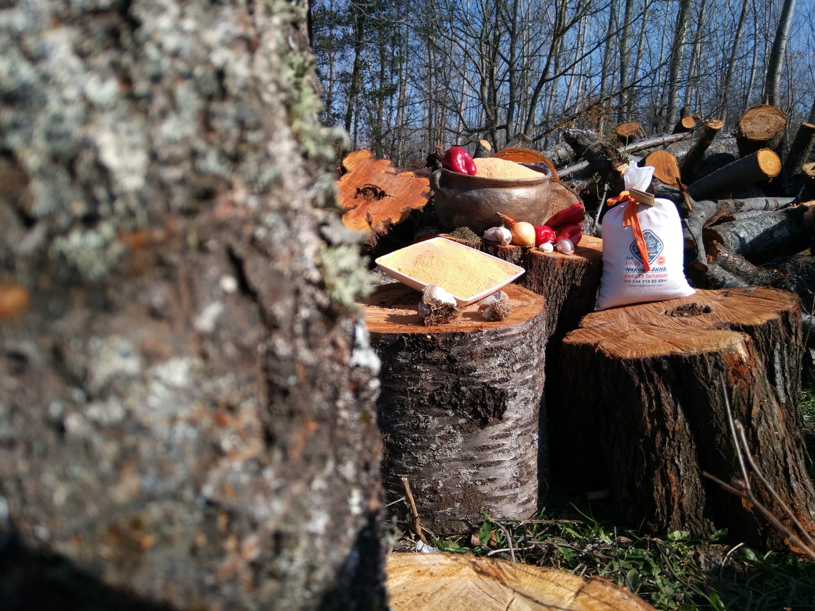 Ana Sayfa EV TARHANASI